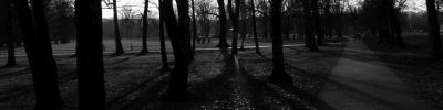 Foto - Widescreen